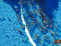 高温催热“清凉经济” 荆州水上乐园迎来消费热潮