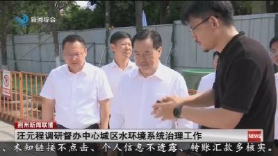 汪元程调研督办中心城区水环境系统治理工作