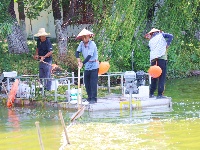 图集 | 致敬高温下的劳动者：水上保洁员头顶烈日 守护碧水清波
