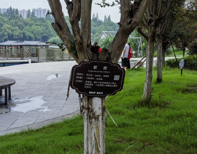 又添科普阵地！这个科普公园等你来打卡
