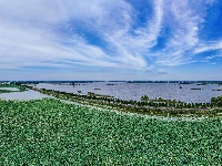 美图丨荆州崇湖湿地荷花盛放
