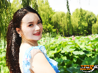 荆州夏日美景：风动荷花香 悠然夏日长