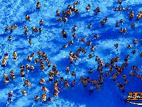 高温催热“清凉经济” 荆州水上乐园迎来消费热潮