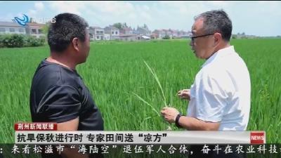 抗旱保秋进行时 专家田间送“凉方”