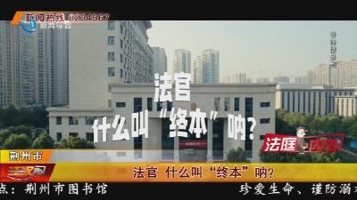 法官 什么叫“终本”呐?