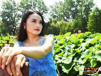 荆州夏日美景：风动荷花香 悠然夏日长