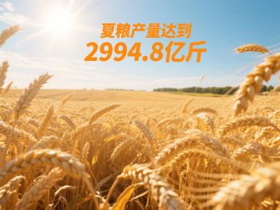 2994.8亿斤！全国稳产丰收