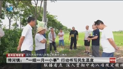 埠河镇：“一组一月一小事”行动书写民生温度