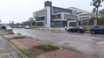 e线追踪：新建工程显成效 积水难题解决了