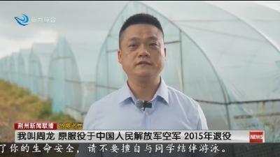 荆州:“海陆空”合体 奋斗在农业科技新战场