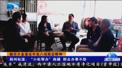 荆州松滋： “小松帮办”跑腿 群众办事不愁