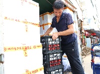 图集 | 搬运工不畏炎热保障农产品供应
