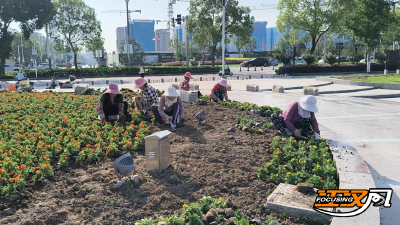 清爽迎夏 扮靓城市 荆州古城外4万株鲜花“上线”