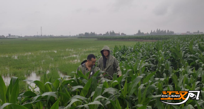 荆州市科技特派员开展抗梅减灾技术指导