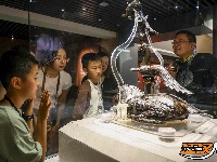 图集 | 暑期“博物馆热”持续升温