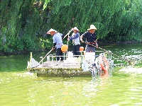图集 | 致敬高温下的劳动者：水上保洁员头顶烈日 守护碧水清波
