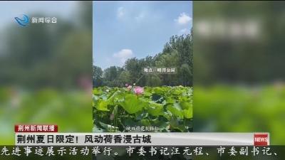 荆州夏日限定！风动荷香漫古城