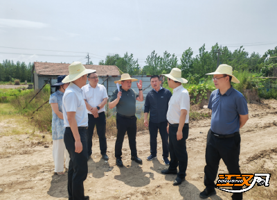 荆州市自然资源和规划局调研石首矿山生态修复推进工作