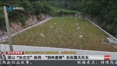 深山“水立方”投用 “荆州屋脊”告别靠天吃水