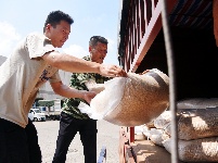 图集 | 致敬高温下的劳动者：农产品市场滚烫坚守，托起市民“菜篮子”新鲜丰盈