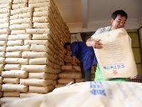 图集 | 致敬高温下的劳动者：农产品市场滚烫坚守，托起市民“菜篮子”新鲜丰盈