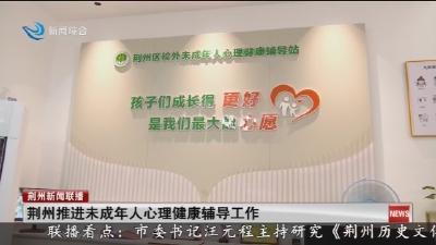 荆州推进未成年人心理健康辅导工作
