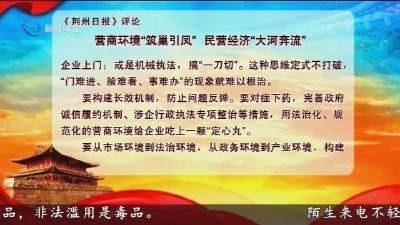 营商环境“筑巢引凤”民营经济“大河奔流”