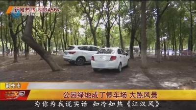 公园绿地成了停车场 大煞风景