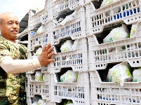 图集 | 致敬高温下的劳动者：农产品市场滚烫坚守，托起市民“菜篮子”新鲜丰盈