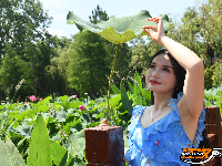 荆州夏日美景：风动荷花香 悠然夏日长