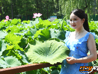 荆州夏日美景：风动荷花香 悠然夏日长