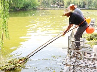图集 | 致敬高温下的劳动者：水上保洁员头顶烈日 守护碧水清波
