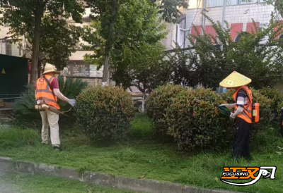 营造清凉舒适环境：沙市区开展除草护绿行动
