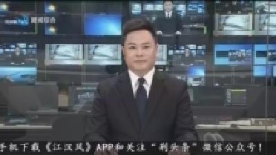 汪元程为全市领导干部讲授学习教育专题党课