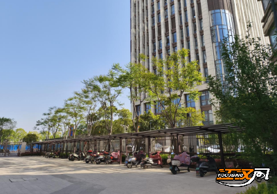 沙市区2025年物业企业“红黑榜”评定结果通报