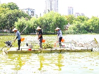 图集 | 致敬高温下的劳动者：水上保洁员头顶烈日 守护碧水清波
