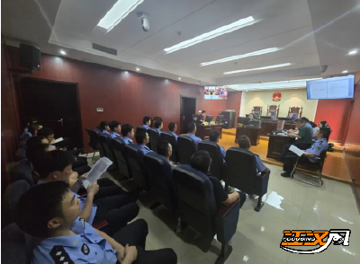 荆州区法院审理一起撤销行政处罚及行政复议案