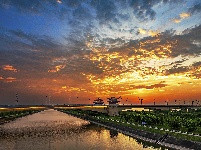 图集 | 【夏夜览荆州系列二】：流光溢彩通达路