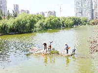 图集 | 致敬高温下的劳动者：水上保洁员头顶烈日 守护碧水清波
