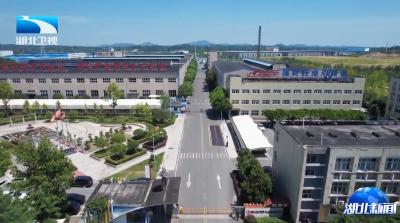 湖北向上·市州半年经济观察 | 随州：民间投资劲增19.6% 增速全省第一