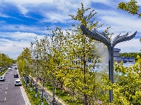 图集 | 智能喷雾双管齐下，荆州街头降尘降温送清凉