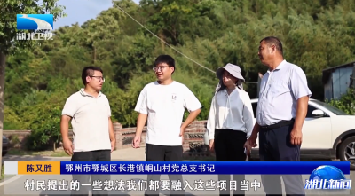 锲而不舍落实中央八项规定精神丨鄂州峒山村：创新“党员联户”机制 走出发展新路