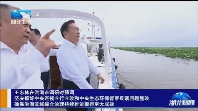 王忠林在洪湖市调研时强调坚决抓好中央巡视立行立改和中央生态环保督察反馈问题整改确保洪湖流域综合治理持续推进取得更大成效