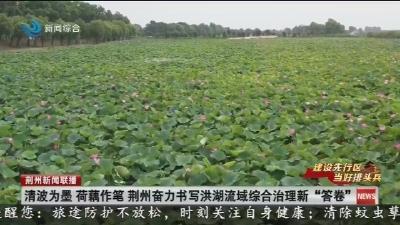 清波为墨 荷藕作笔 荆州奋力书写洪湖流域综合治理新“答卷”
