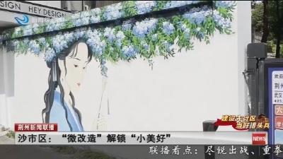 沙市区:“微改造”解锁“小美好”