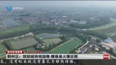 荆州区:斑驳城砖铭国殇 燎原星火耀征程