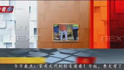 江汉风  2025-08-01