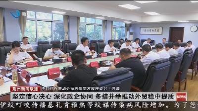 坚定信心决心 深化政企协同 多措并举推动外贸稳中提质