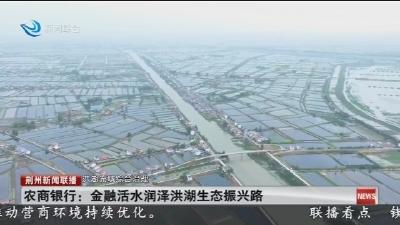 农商银行:金融活水润泽洪湖生态振兴路