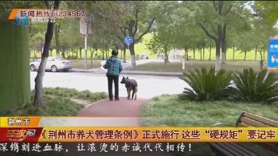 《荆州市养犬管理条例》正式施行这些“硬规矩”要记牢